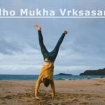 Adho Mukha Vrksasana