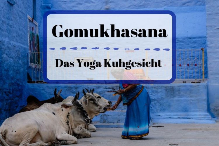 Gomukhasana Yoga Asana das Kuhgesicht 🐮
