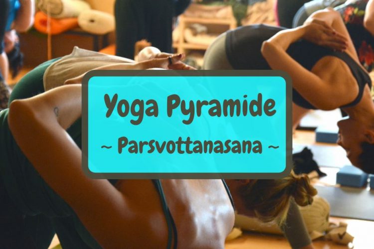 Parsvottanasana ~~ Yoga Asana: Pyramide / Intensive Dehnung