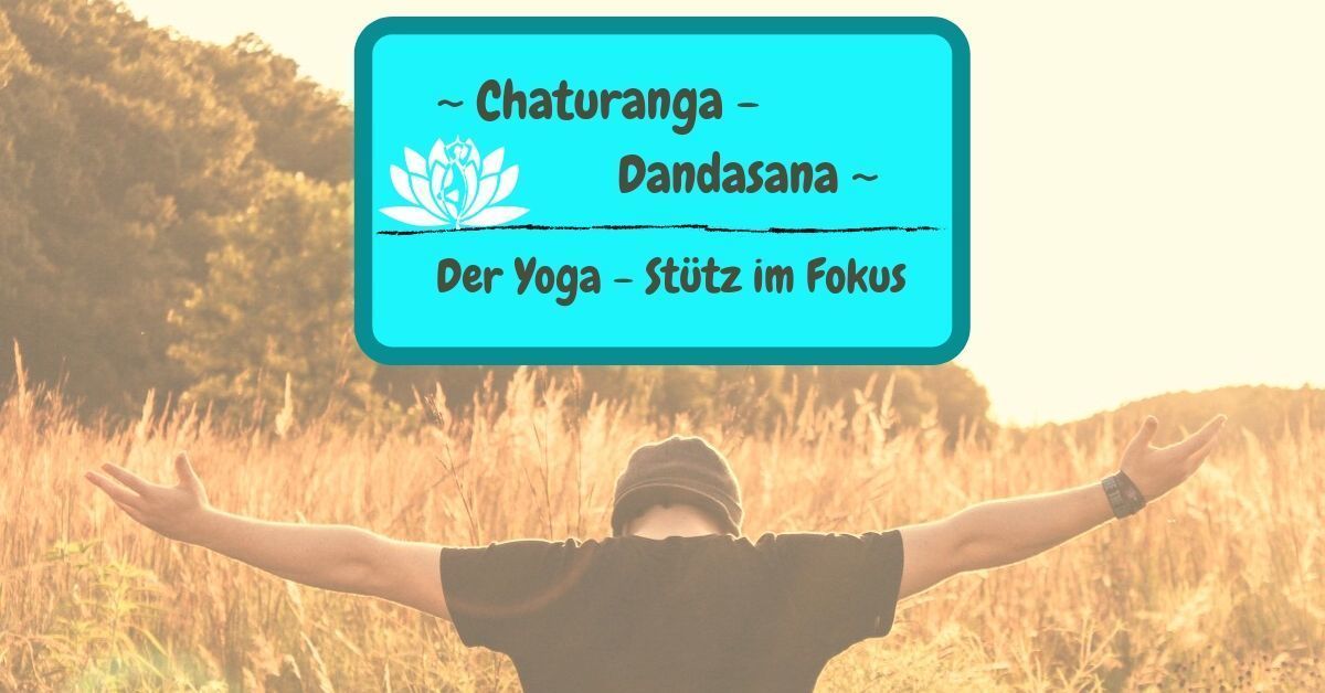 Yoga Chaturanga Dandasana